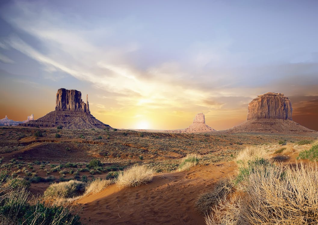 arizona-landscape-algamus